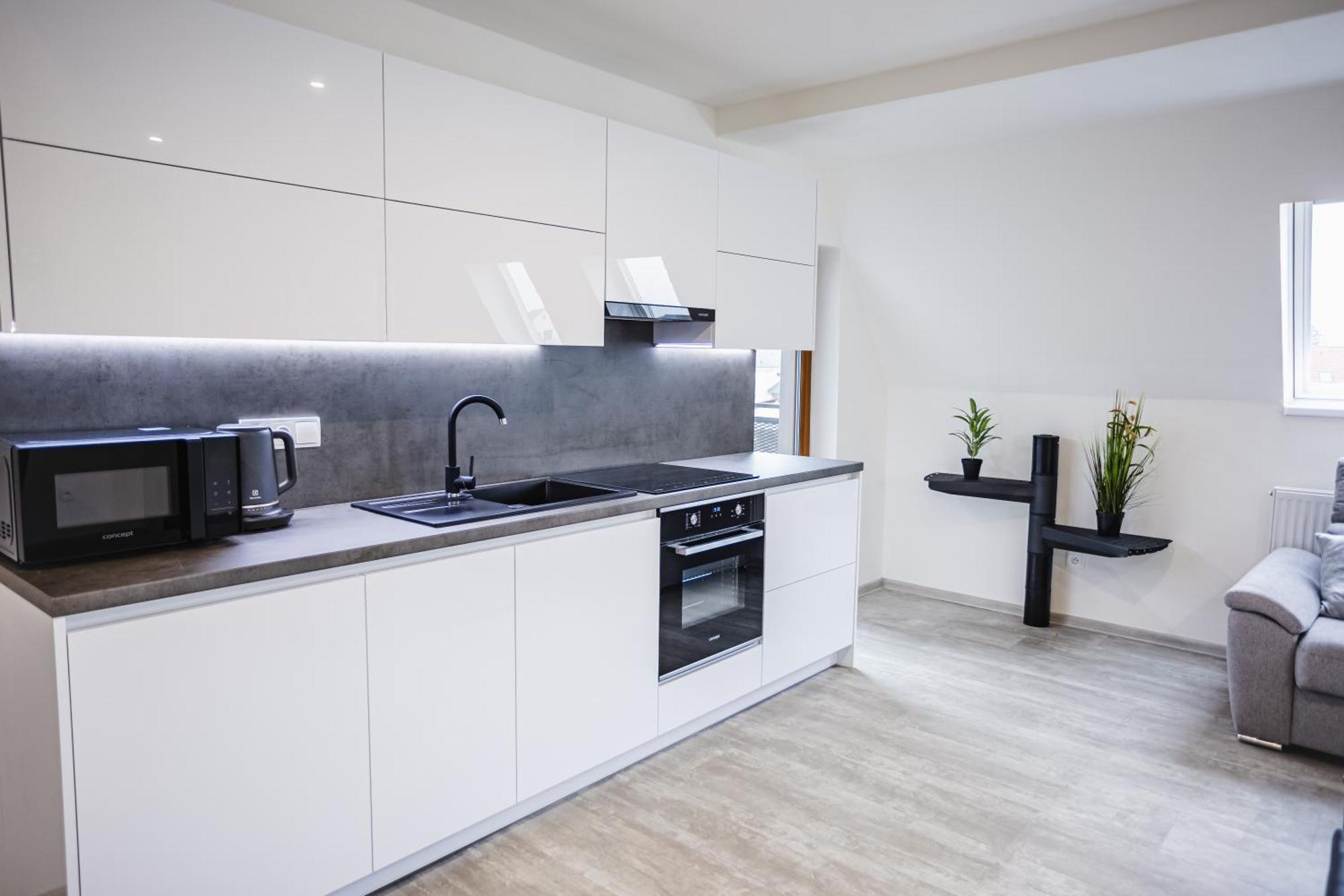 Rezidence Petra Voka Apartment