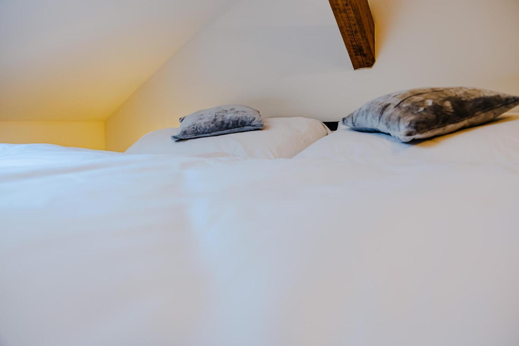 Rezidence Petra Voka Apartment Trebon